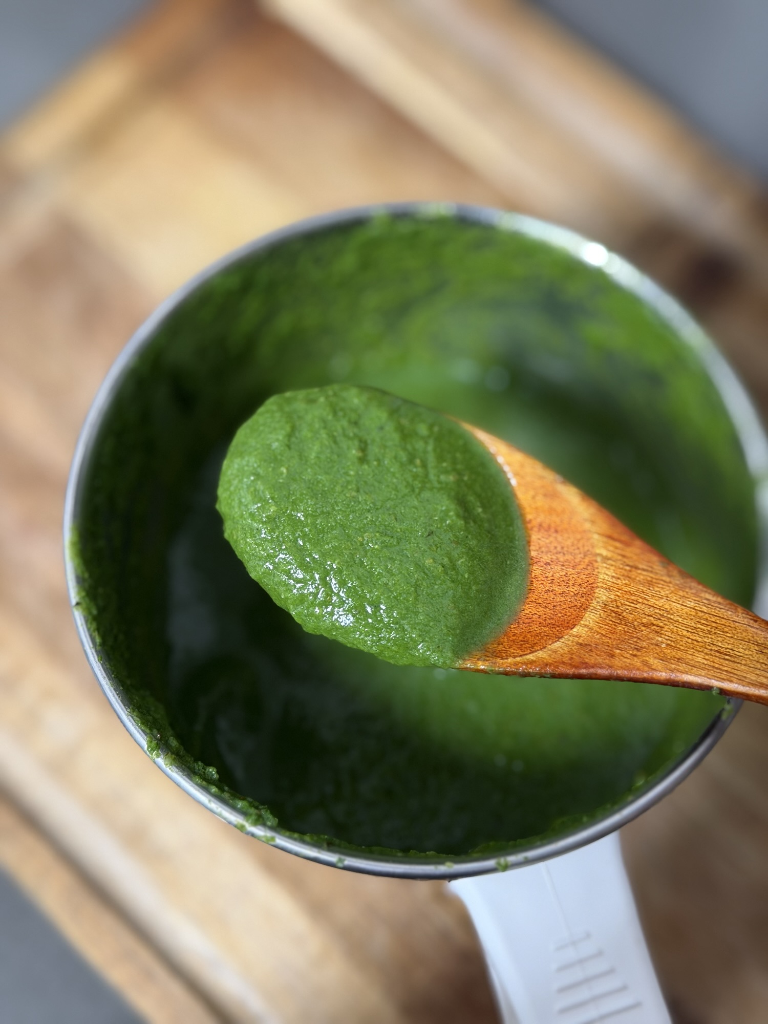 Fresh mint chutney